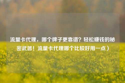 流量卡代理，哪个牌子更靠谱？轻松赚钱的秘密武器！流量卡代理哪个比较好用一点）