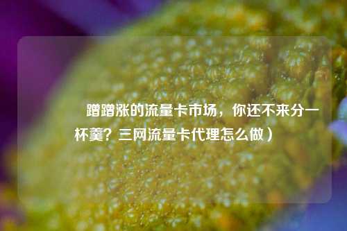 🚀蹭蹭涨的流量卡市场，你还不来分一杯羹？三网流量卡代理怎么做）