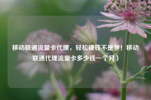 移动联通流量卡代理，轻松赚钱不是梦！移动联通代理流量卡多少钱一个月）