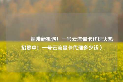 🚀躺赚新机遇！一号云流量卡代理火热招募中！一号云流量卡代理多少钱）