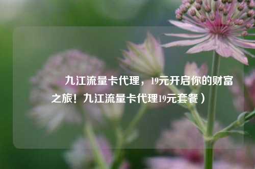🚀九江流量卡代理，19元开启你的财富之旅！九江流量卡代理19元套餐）