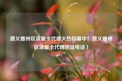 遵义播州区流量卡代理火热招募中！遵义播州区流量卡代理地址电话）