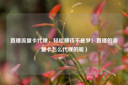 直播流量卡代理，轻松赚钱不是梦！直播的流量卡怎么代理的呢）