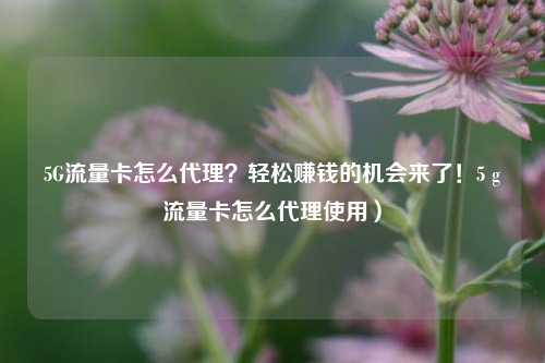 5G流量卡怎么代理？轻松赚钱的机会来了！5 g流量卡怎么代理使用）