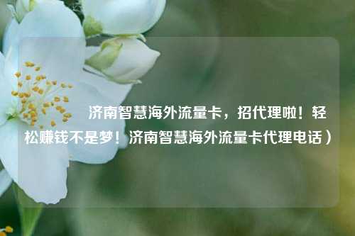 🚀济南智慧海外流量卡，招代理啦！轻松赚钱不是梦！济南智慧海外流量卡代理电话）