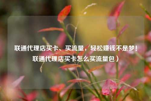 联通代理店买卡、买流量，轻松赚钱不是梦！联通代理店买卡怎么买流量包）