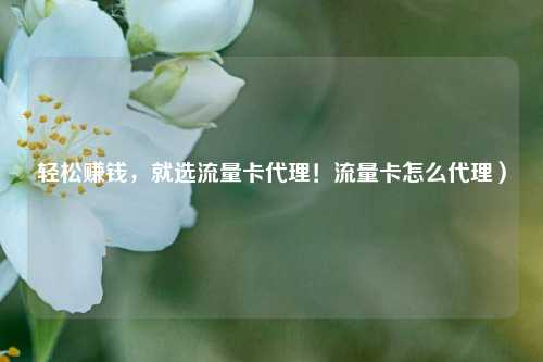 轻松赚钱，就选流量卡代理！流量卡怎么代理）