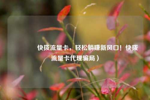 🚀快拨流量卡，轻松躺赚新风口！快拨流量卡代理骗局）