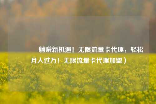 🚀躺赚新机遇！无限流量卡代理，轻松月入过万！无限流量卡代理加盟）