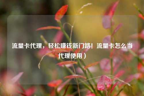 流量卡代理，轻松赚钱新门路！流量卡怎么当代理使用）