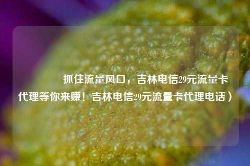 🚀抓住流量风口，吉林电信29元流量卡代理等你来赚！吉林电信29元流量卡代理电话）