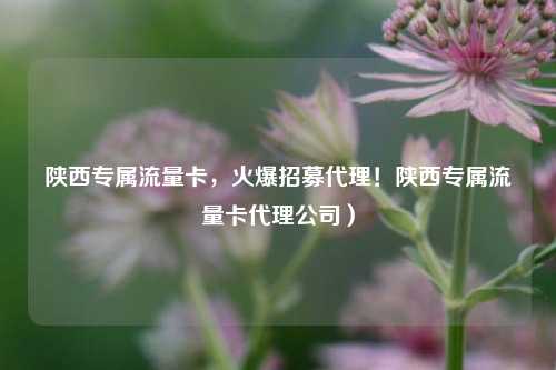 陕西专属流量卡，火爆招募代理！陕西专属流量卡代理公司）