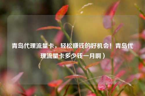 青岛代理流量卡，轻松赚钱的好机会！青岛代理流量卡多少钱一月啊）