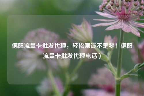 德阳流量卡批发代理，轻松赚钱不是梦！德阳流量卡批发代理电话）
