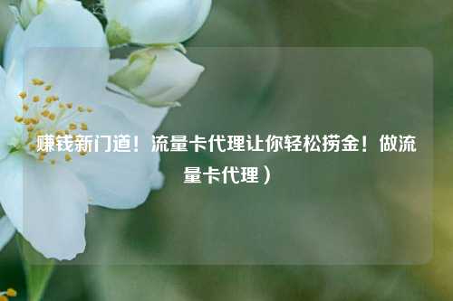 赚钱新门道！流量卡代理让你轻松捞金！做流量卡代理）