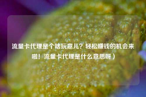 流量卡代理是个啥玩意儿？轻松赚钱的机会来啦！流量卡代理是什么意思呀）