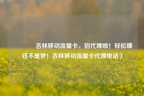 🚀吉林移动流量卡，招代理啦！轻松赚钱不是梦！吉林移动流量卡代理电话）