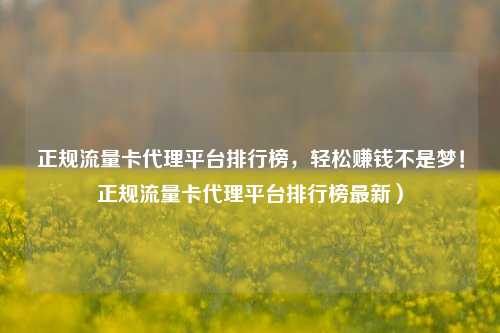 正规流量卡代理平台排行榜，轻松赚钱不是梦！正规流量卡代理平台排行榜最新）