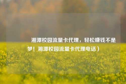 🚀湘潭校园流量卡代理，轻松赚钱不是梦！湘潭校园流量卡代理电话）