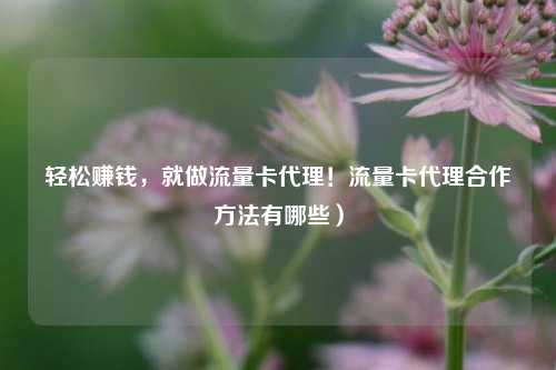 轻松赚钱，就做流量卡代理！流量卡代理合作方法有哪些）
