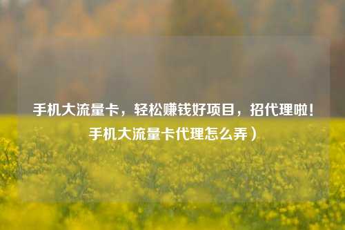 手机大流量卡，轻松赚钱好项目，招代理啦！手机大流量卡代理怎么弄）