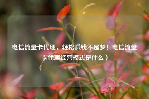 电信流量卡代理，轻松赚钱不是梦！电信流量卡代理经营模式是什么）