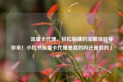 🚀流量卡代理，轻松躺赚的宝藏项目等你来！小红书流量卡代理是真的吗还是假的）