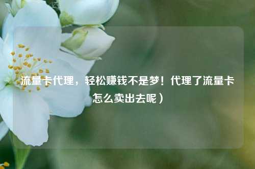 流量卡代理，轻松赚钱不是梦！代理了流量卡怎么卖出去呢）