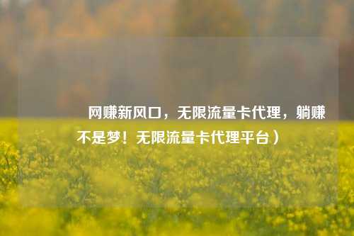 🚀网赚新风口，无限流量卡代理，躺赚不是梦！无限流量卡代理平台）