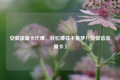 安徽流量卡代理，轻松赚钱不是梦！安徽省流量卡）