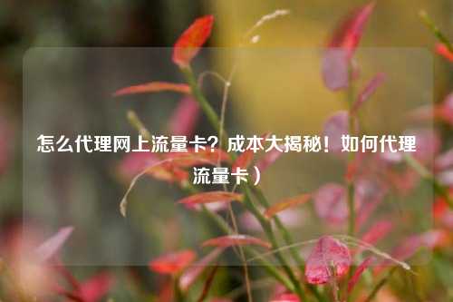 怎么代理网上流量卡？成本大揭秘！如何代理流量卡）