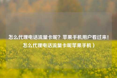 怎么代理电话流量卡呢？苹果手机用户看过来！怎么代理电话流量卡呢苹果手机）