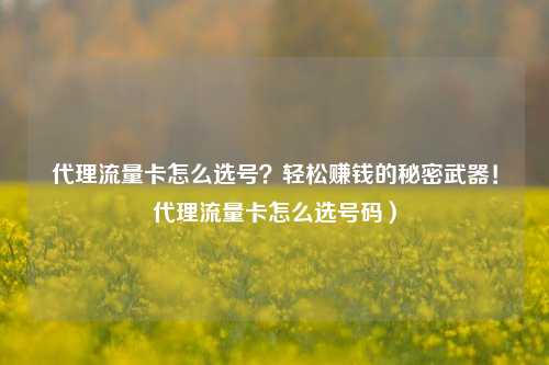 代理流量卡怎么选号？轻松赚钱的秘密武器！代理流量卡怎么选号码）