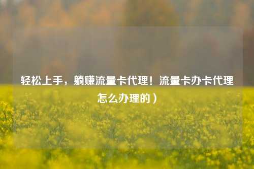 轻松上手，躺赚流量卡代理！流量卡办卡代理怎么办理的）