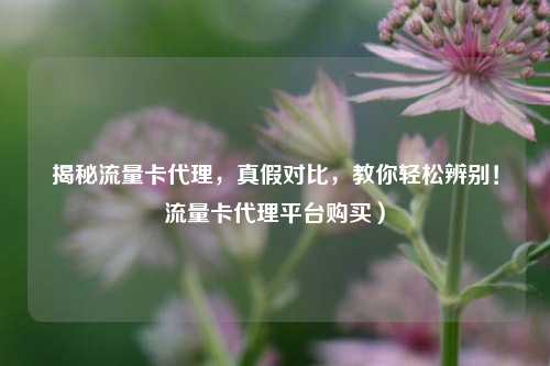 揭秘流量卡代理，真假对比，教你轻松辨别！流量卡代理平台购买）