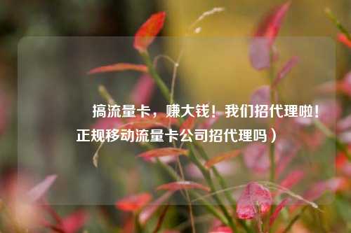 🚀搞流量卡，赚大钱！我们招代理啦！正规移动流量卡公司招代理吗）