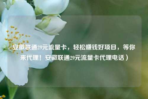 安徽联通29元流量卡，轻松赚钱好项目，等你来代理！安徽联通29元流量卡代理电话）