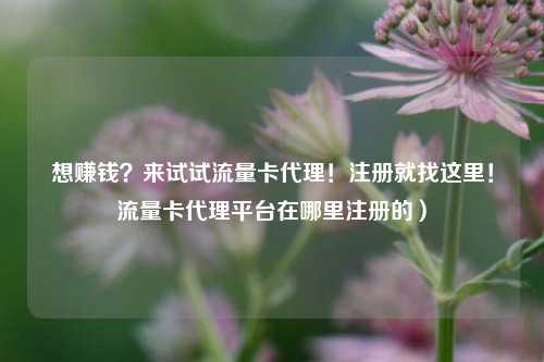 想赚钱？来试试流量卡代理！注册就找这里！流量卡代理平台在哪里注册的）