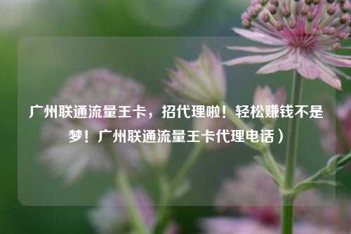 广州联通流量王卡，招代理啦！轻松赚钱不是梦！广州联通流量王卡代理电话）