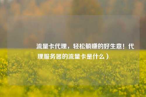 🚀流量卡代理，轻松躺赚的好生意！代理服务器的流量卡是什么）