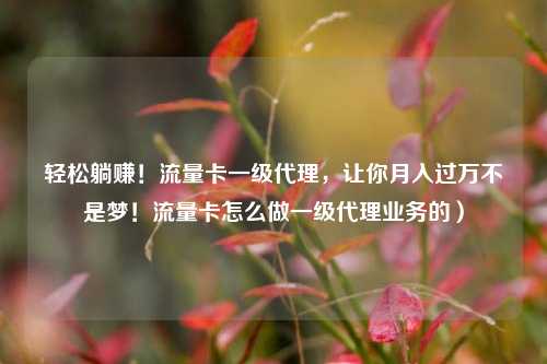 轻松躺赚！流量卡一级代理，让你月入过万不是梦！流量卡怎么做一级代理业务的）