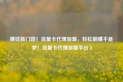 赚钱新门路！流量卡代理加盟，轻松躺赚不是梦！流量卡代理加盟平台）