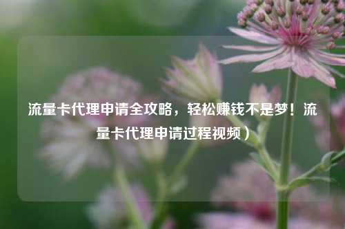 流量卡代理申请全攻略，轻松赚钱不是梦！流量卡代理申请过程视频）