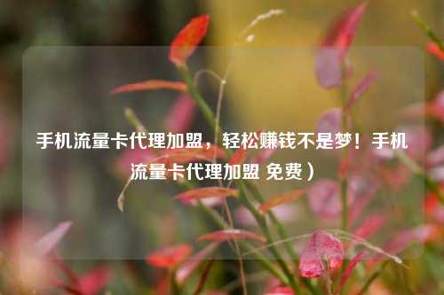 手机流量卡代理加盟，轻松赚钱不是梦！手机流量卡代理加盟 免费）