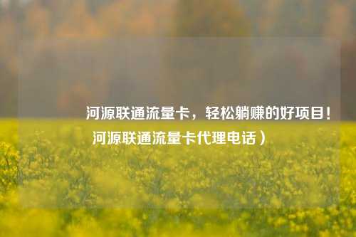 🚀河源联通流量卡，轻松躺赚的好项目！河源联通流量卡代理电话）