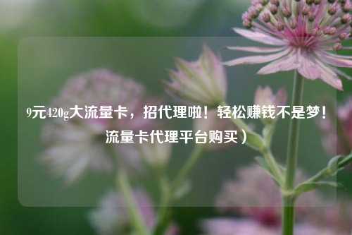 9元420g大流量卡，招代理啦！轻松赚钱不是梦！流量卡代理平台购买）