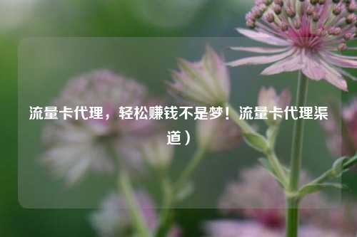 流量卡代理，轻松赚钱不是梦！流量卡代理渠道）