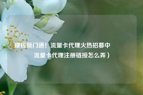 赚钱新门道！流量卡代理火热招募中🔥流量卡代理注册链接怎么弄）