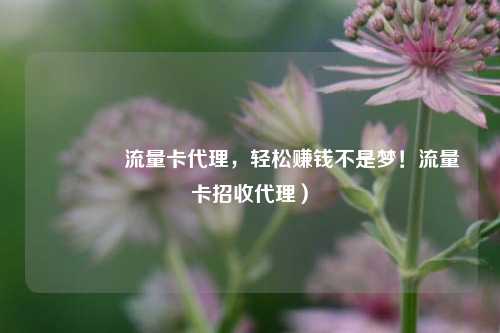 🚀流量卡代理，轻松赚钱不是梦！流量卡招收代理）