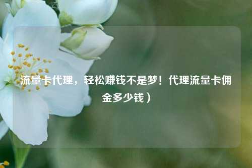 流量卡代理，轻松赚钱不是梦！代理流量卡佣金多少钱）